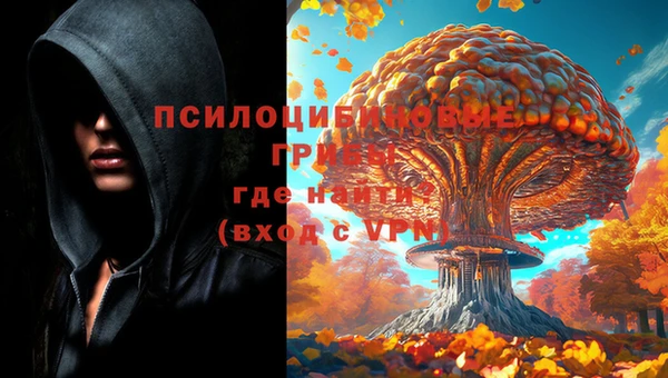 индика Аркадак