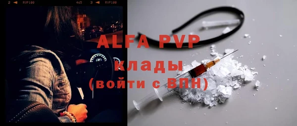 хмурый Алексин