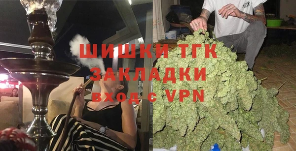 хмурый Алексин