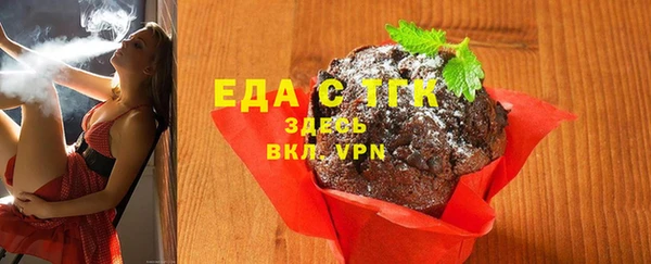 хмурый Алексин
